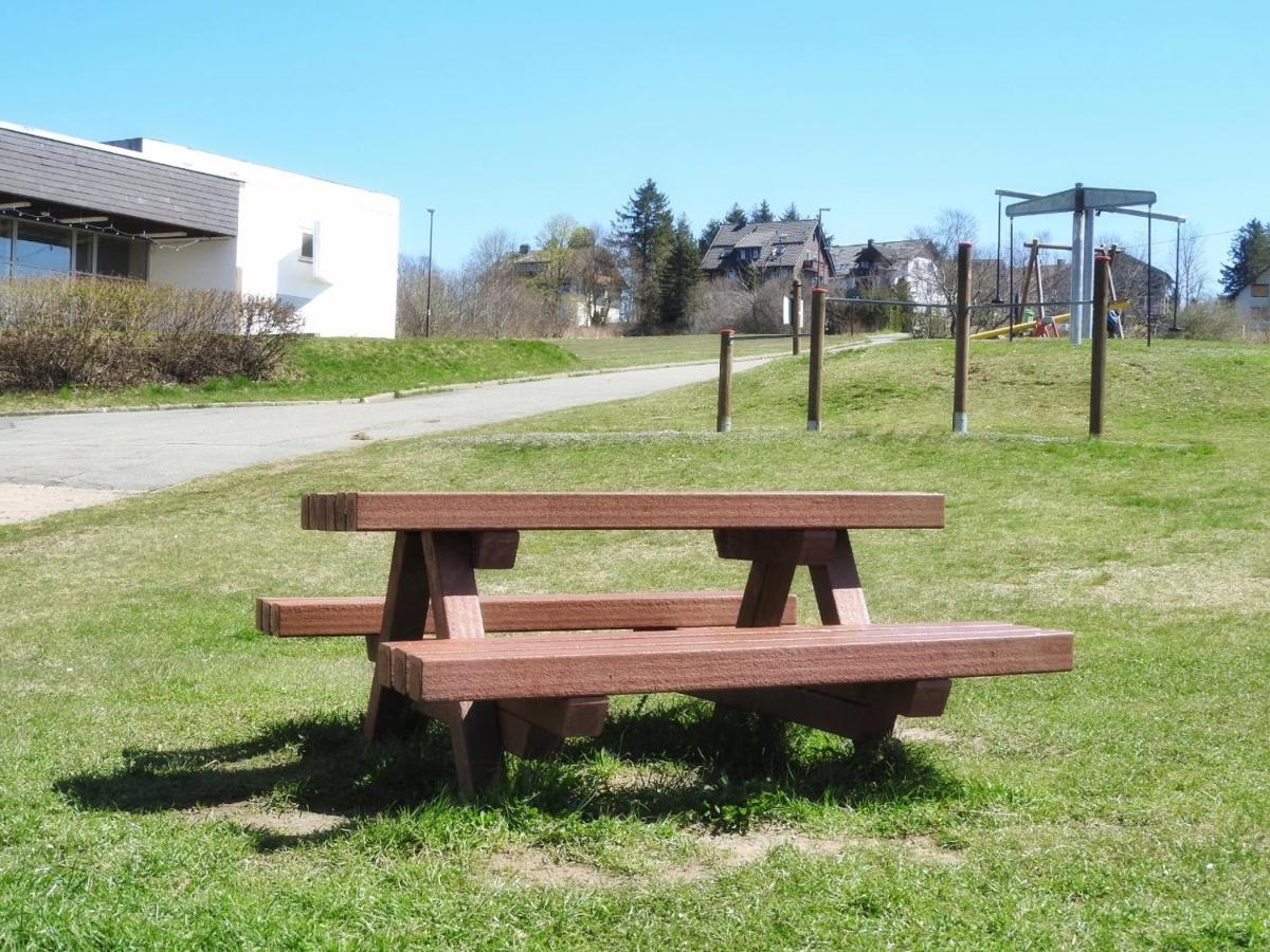 Hohegeiß Appartement Zum Kuckuck Noch Mal מראה חיצוני תמונה