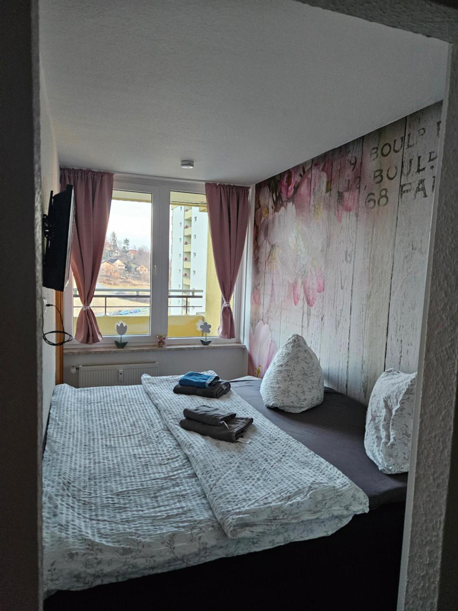 Hohegeiß Appartement Zum Kuckuck Noch Mal מראה חיצוני תמונה